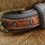 Adjustable Reflective Pet Collar