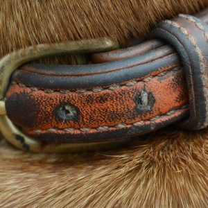 Adjustable Reflective Pet Collar