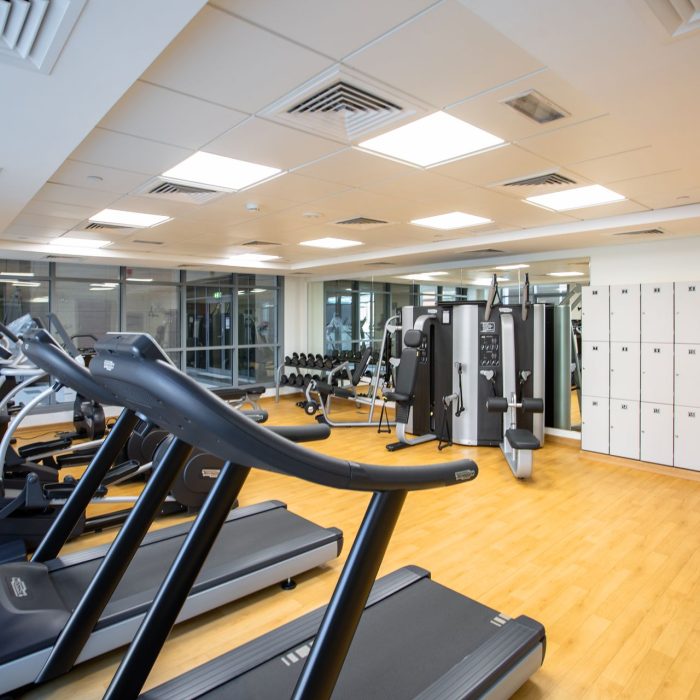 Bright modern gym interior with rows of training equipment