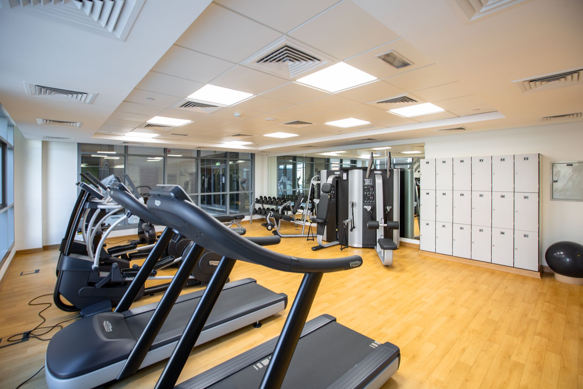 Bright modern gym interior with rows of training equipment