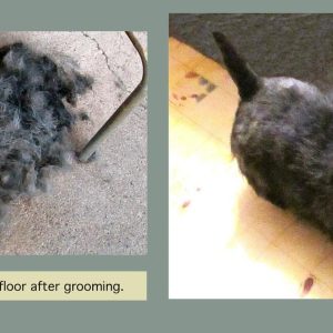 Self Cleaning Slicker Brush
